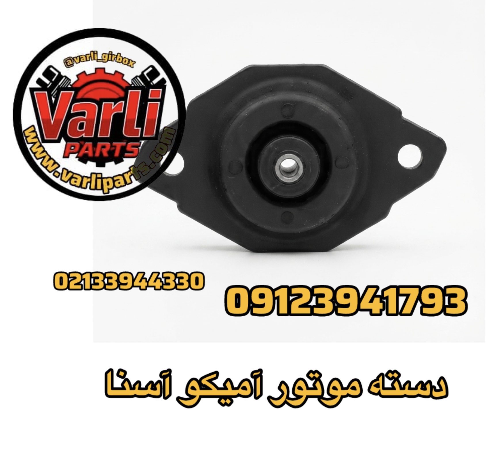 دسته موتور آمیکو آسنا
