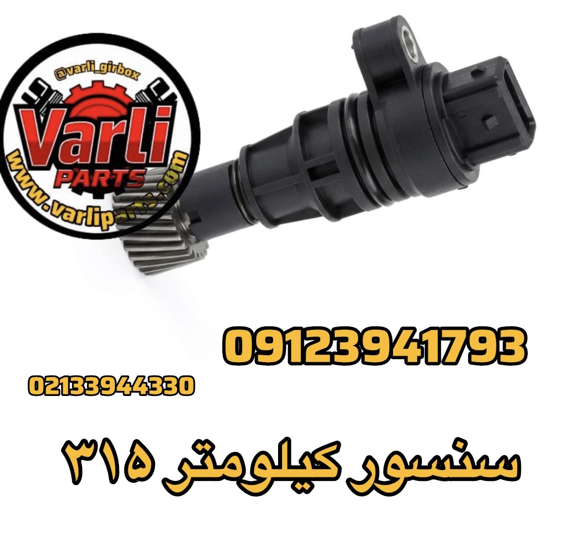 سنسور کیلومتر ۳۱۵