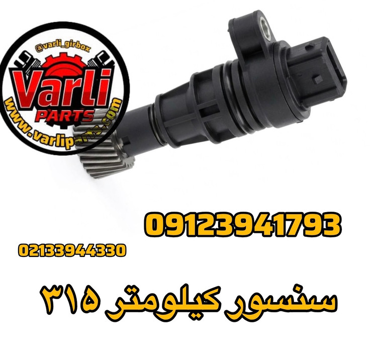 سنسور کیلومتر ۳۱۵